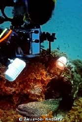 The underwater cameraman. Gulf of Oman, Daymaniyat Island... by Alexander Nikolaev 